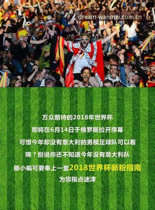 从约旦球迷签证困境看世界杯观赛的3个现实挑战